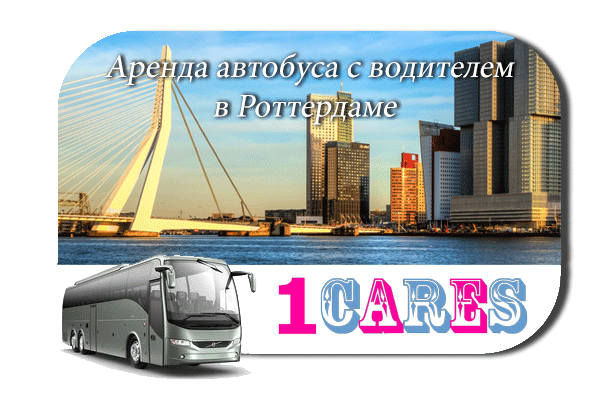 Аренда автобуса в Роттердаме